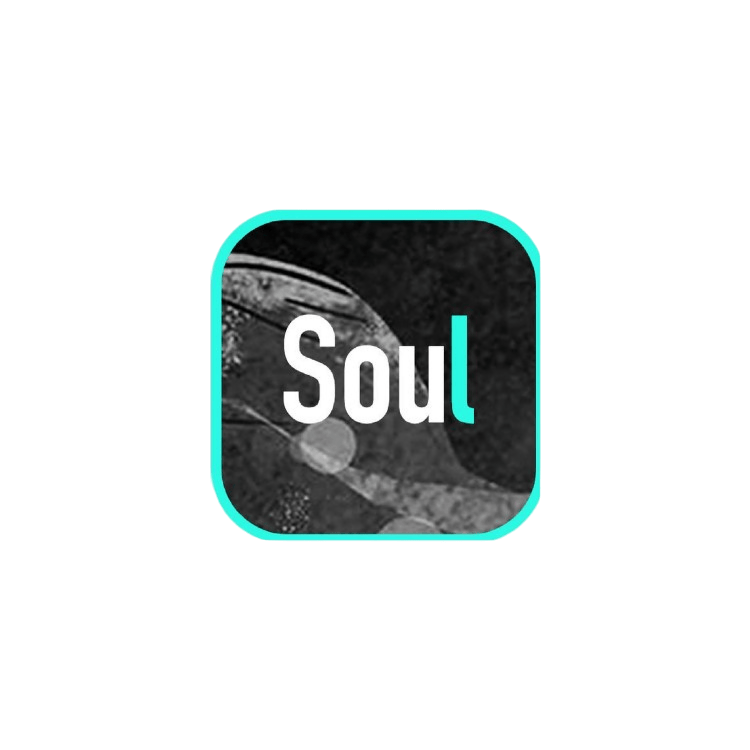 Soul 官方 Logo